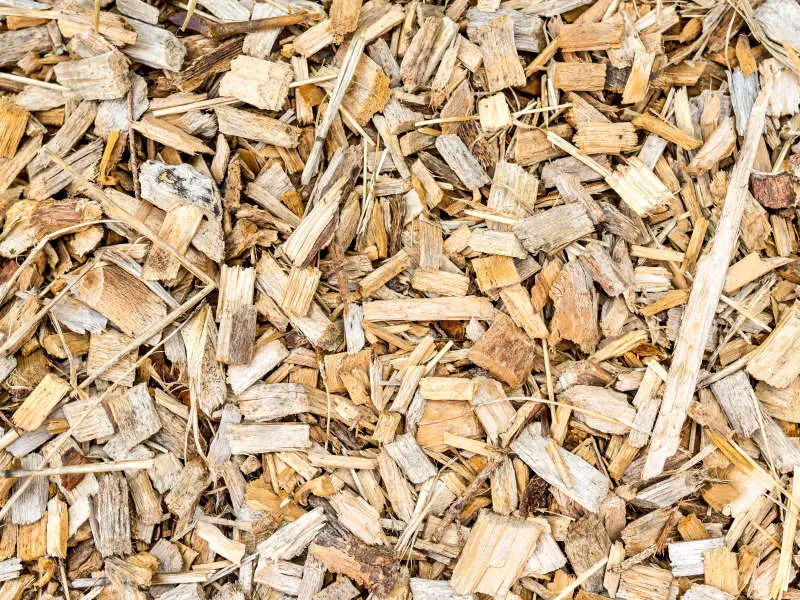 All About Wood Chips