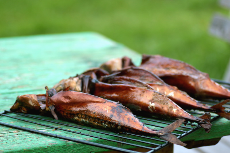 Will Smoking Fish Ruin My Smoker Will Smoking Fish Ruin My Smoker