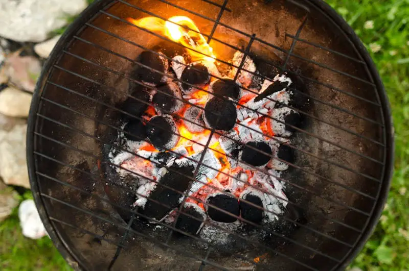 Light Wood And Charcoal In a Side Fire