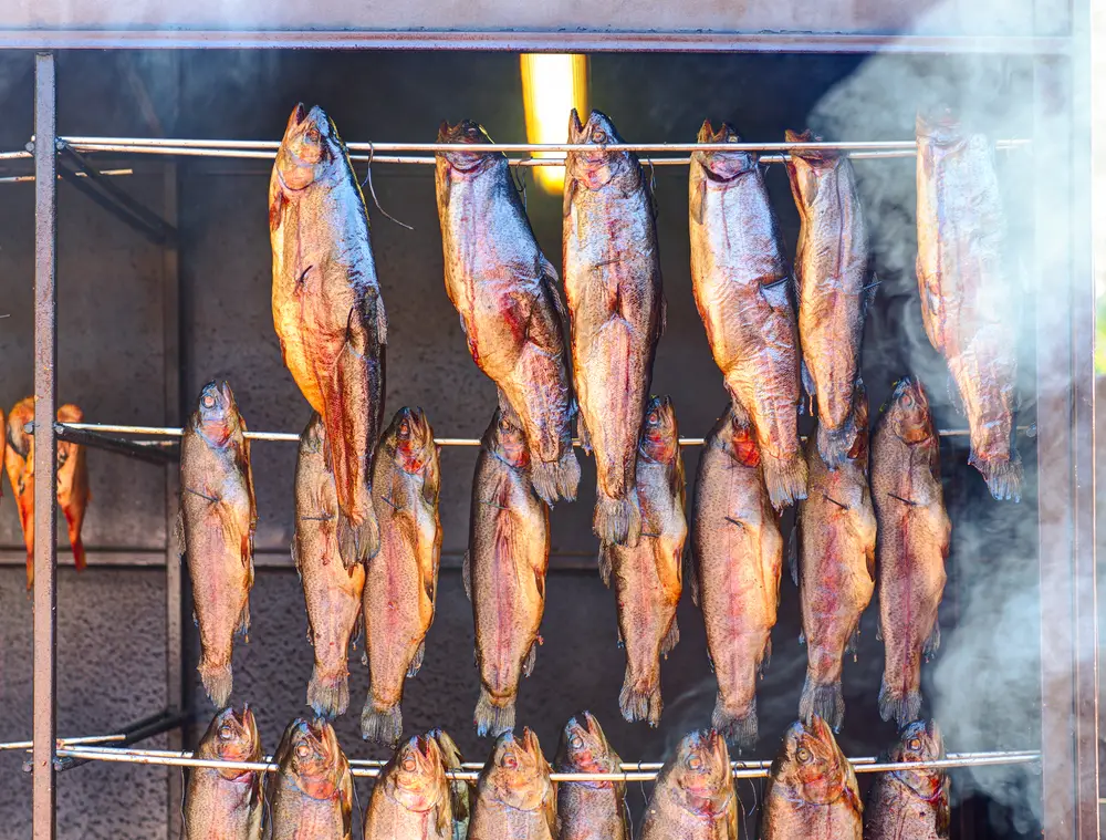 Will smoking fish ruin my smoker