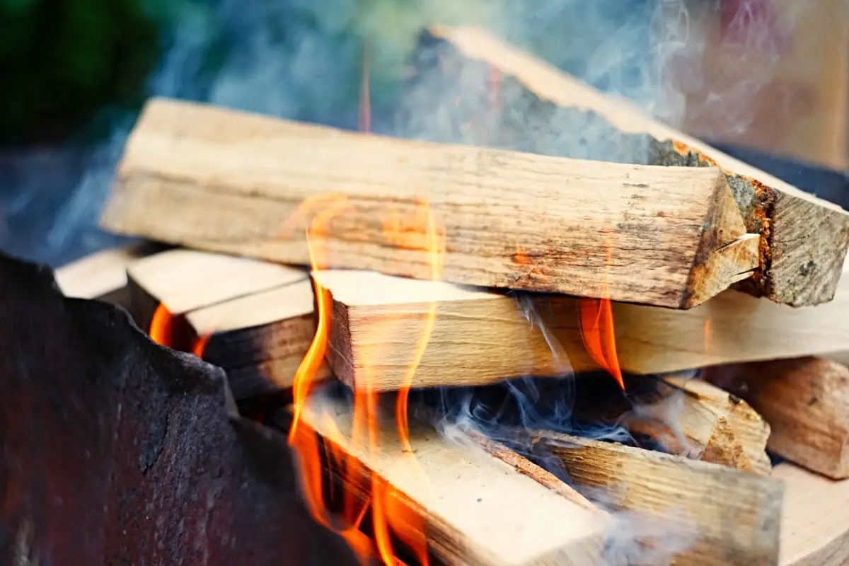 5 Tips to Get Wood for Your Smoker