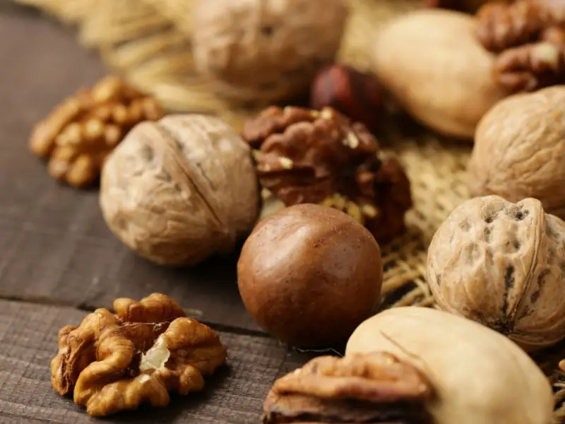 nutshells