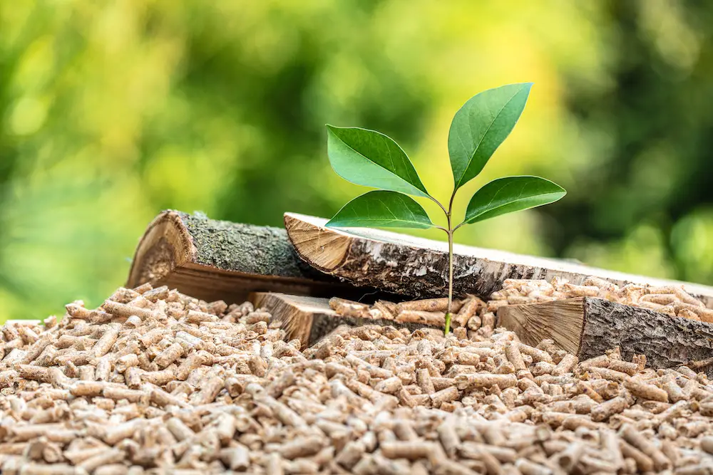 wood pellets with leaf and tree trunks. can i use wood pellets in a charcoal grill